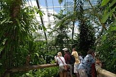 0689 Butterfly Sanctuary Kuranda